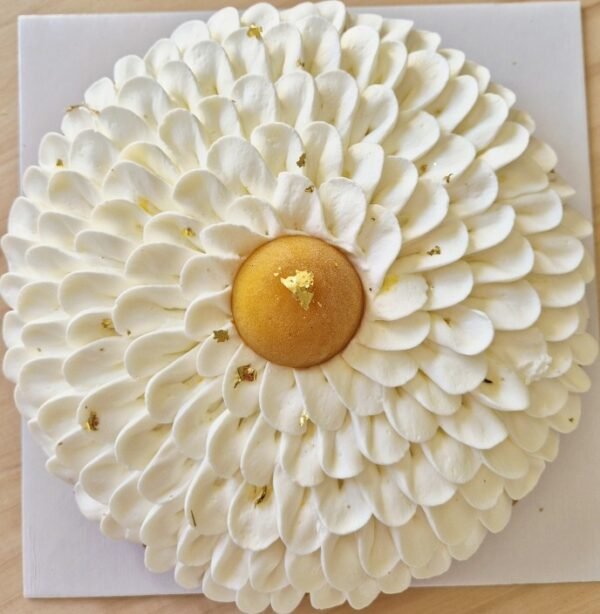 Tarte Noix de Coco, Mangue, Fruit de la Passion