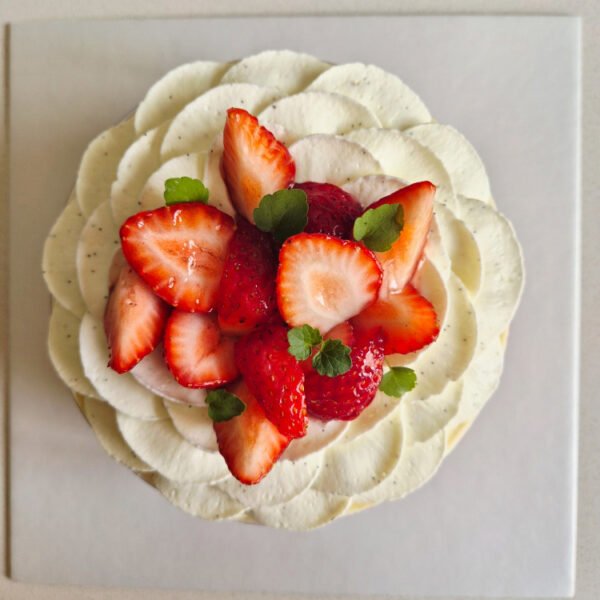 Fraisier aux Fraises Françaises